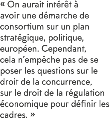   On aurait int r t   avoir une d marche de consortium sur un plan strat gique, politique, europ en  Cependant, cela    