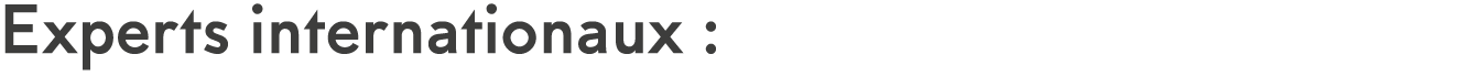 Experts internationaux : 