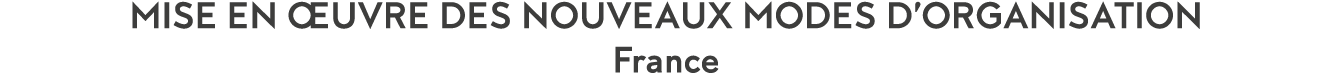 Mise en  uvre des nouveaux modes d organisation France